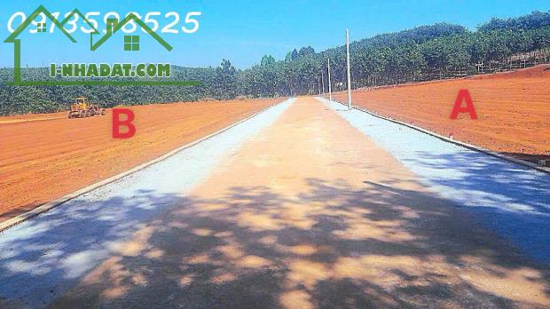 Bán Đất Bình Phước, 250m2, sổ sẵn 100m2 thổ cư, 280tr ngân hàng cho vay 50% - 1