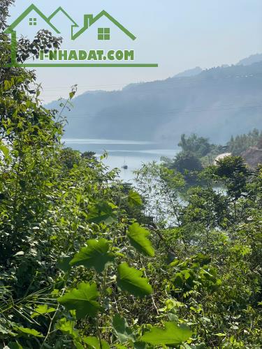 Cần bán siêu phẩm view hồ Hoà Bình_bám suối to 5000M_200M ONT_Đà bắc_Hoà Bình_2,x tỷ - 3