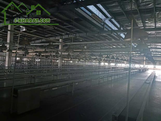 Cho thuê nhà xưởng trong KCN tại Biên Hoà, Đồng Nai - 3