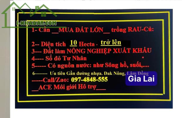 CẦN TÌM MUA ĐẤT LỚN: 10 (HECTA) - 300 (HECTA) QUANH KHU VỰC TP GIA NGHĨA. LH:0974848555. - 4