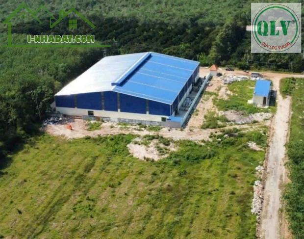 Bán xưởng kv 15.000m2 xưởng 3.000m2 đường Trừ Văn Thố, Bàu Bàng