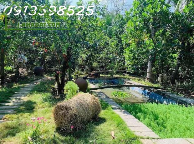 Mua 600 bán rẻ 325tr/1.000m2. LH: 0913.598.525. Chỉ trong tháng này! - 4