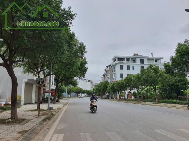 BÁN ĐẤT LÝ NAM ĐẾ, KĐT NAM ĐẦM VẠC – KHAI QUANG – VĨNH YÊN – VĨNH PHÚC. TRỤC KINH DOANH - 3