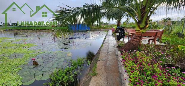 Chuyển Nhượng Lô Đất Thuộc Xã Tân Phong- Huyện Kiến Thụy- Hải Phòng - 4