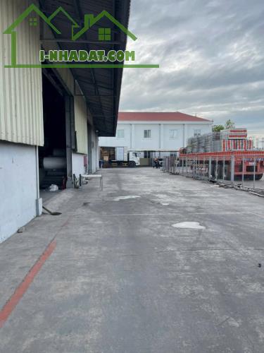 Cho Thuê nhà xưởng 5000m2 Trong KCN Thủ Dầu 1, Bình Dương - 4