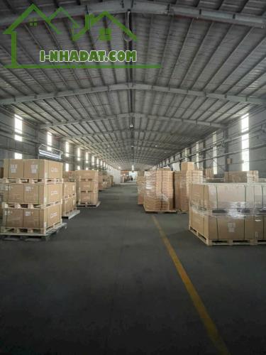 Cho Thuê nhà xưởng 5000m2 Trong KCN Thủ Dầu 1, Bình Dương - 3