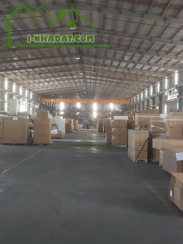 Cho Thuê nhà xưởng 5000m2 Trong KCN Thủ Dầu 1, Bình Dương - 2