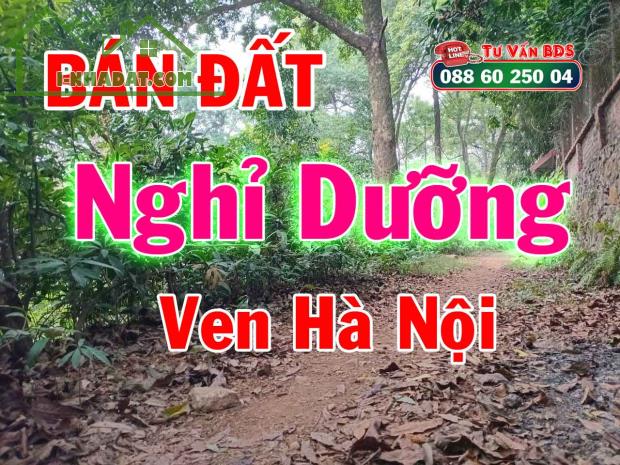 Bán đất nghỉ dưỡng, cạnh Rùa House ở Tiên Phương (đồi Họa Sỹ), Tiên Phương, Chương Mỹ, HN - 2