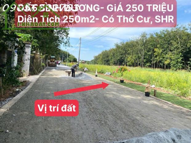 BÁN GẤP ĐẤT TÂN LONG - PHÚ GIÁO - BÀU BÀNG -  300Triệu - Công chứng ngay - 2