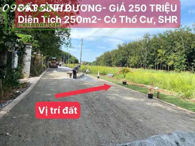 BÁN ĐẤT SỔ SẴN 250M2 TÂN LONG - PHÚ GIÁO - GIÁ 780 TRIỆU - 2