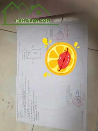 Chính chủ muốn bán lại nhà+ đất kinh doanh nhà nghỉ tại XUÂN MAI - 5