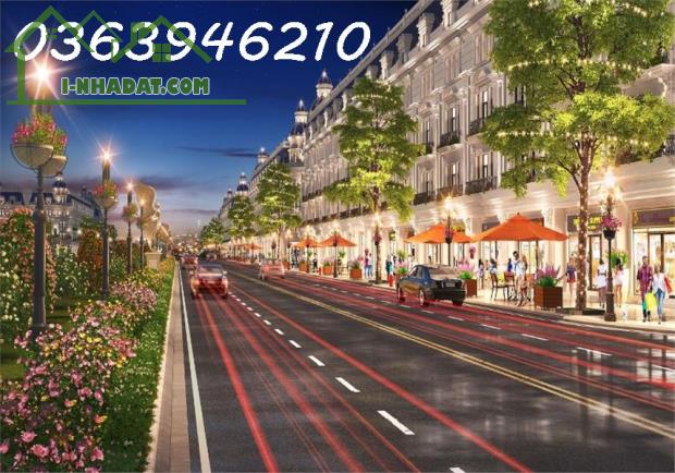 Bán Đất Nền Dự Án Tại Danko Avenue, 20 Triệu / M2, 96 M2, Sông Công, Thái Nguyên - 2