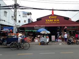 Bán nhà Mặt tiền 3 tầng,kinh doanh ngay Trường học,Lý Tế Xuyên,Linh Đông,Thủ Đưc - 4