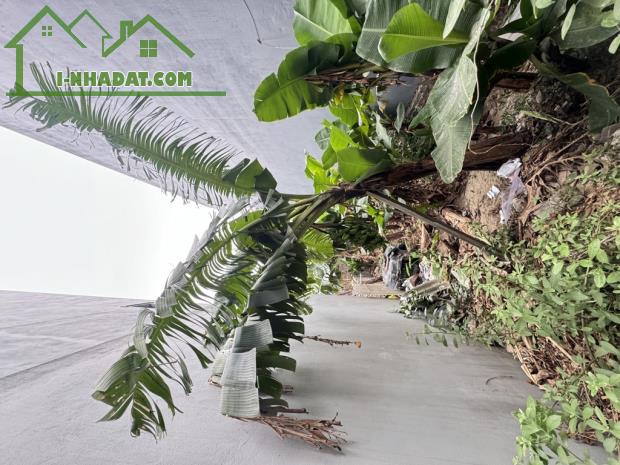Bán đất Ngọc Thuỵ - Long Biên - Pháp lý chuẩn- 62m2 nhỉnh 5 tỷ ( Thương Lượng) - 2