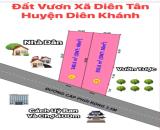 Bán 2 lô đất vườn xã Diên Tân , Diên Khánh. DT 346 và 392m2 . Giá từ 590 triệu