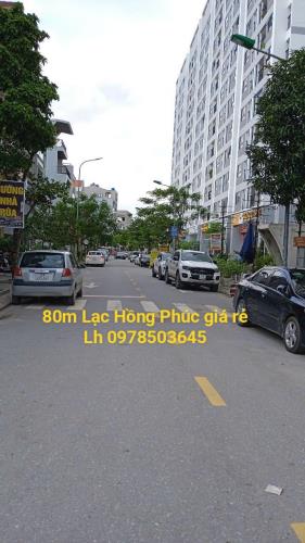 Hiếm bán lô đất 80m khu đô thị Lạc Hồng Phúc Mỹ Hào Hưng Yên - 2