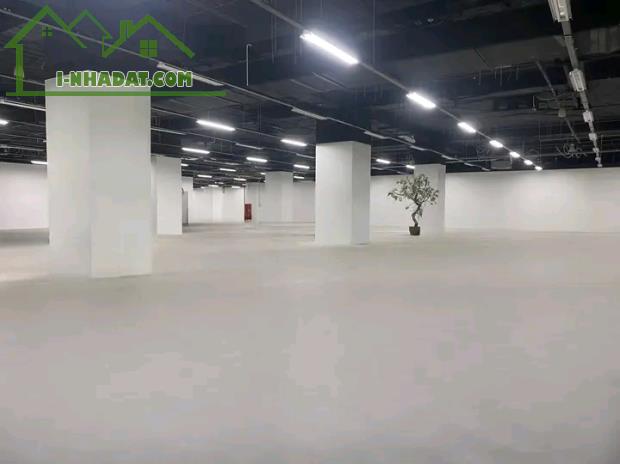 CHÍNH CHỦ CẦN CHO THUÊ 2000M2 TẦNG 3 TÒA NHÀ THƯƠNG MẠI SỐ 229 TÂY SƠN, ĐỐNG ĐA, HÀ NỘI - 2