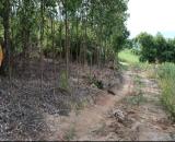 Chủ cần ra lô đất 2000m2 xã Ea Bar, Huyện Sông Hinh, tỉnh phú yên
