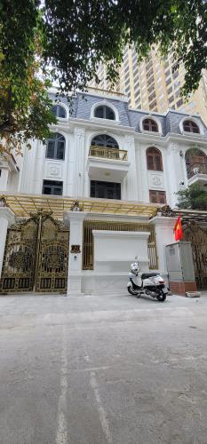 (SIÊU VIP) Bán biệt thự 262 Nguyễn Huy Tưởng 175mx4T nội thất xịn nơi ở lý tưởng Thanh - 4