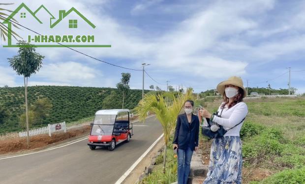 CẮT LỖ LÔ ĐẤT NẰM TẠI NGÃ 5 DAMRI XÁC BÊN ĐỒI CHÈ TÂM CHÂU VÀ CẠNH NÚT GIAO CAO TỐC