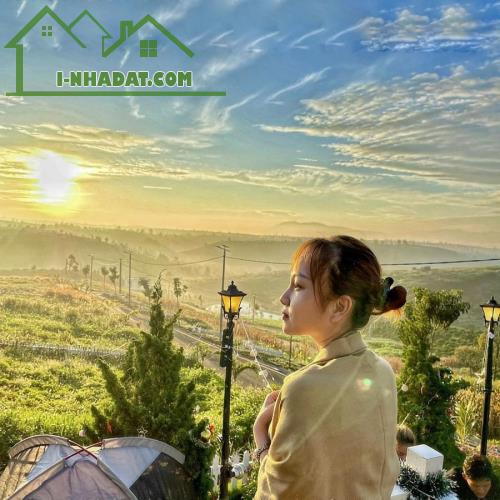 CẮT LỖ LÔ ĐẤT NẰM TẠI NGÃ 5 DAMRI XÁC BÊN ĐỒI CHÈ TÂM CHÂU VÀ CẠNH NÚT GIAO CAO TỐC - 1