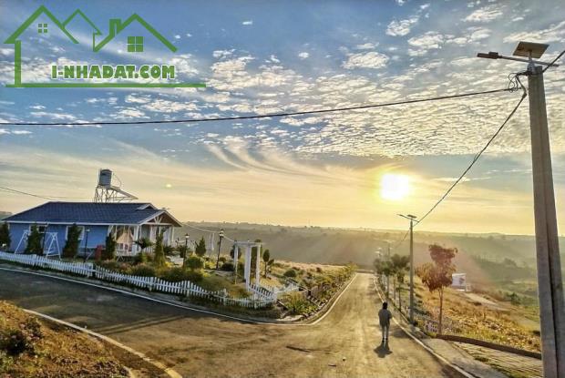 CẮT LỖ LÔ ĐẤT NẰM TẠI NGÃ 5 DAMRI XÁC BÊN ĐỒI CHÈ TÂM CHÂU VÀ CẠNH NÚT GIAO CAO TỐC - 2