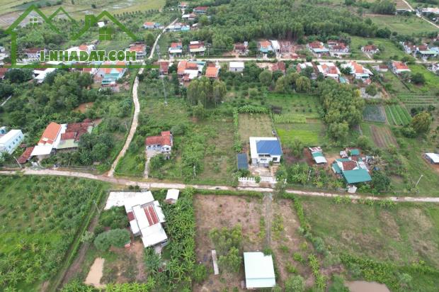 Bán đất Ninh Bình tx Ninh Hoà cạnh Nam Vân Phong 516m2 giá 1.9 triệu/m2 - 3