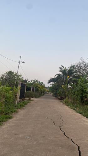 Bán đất sào đẹp vuông vức tại xã Bình An. Long Thành. Ngay tỉnh lộ 769( TL769). 1 Tỷ. - 2