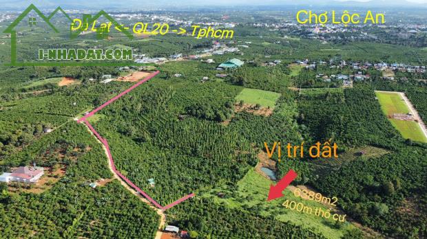 Đất Đẹp - Giá Tốt Bán Nhanh vườn cây ăn trái 6389m2 Xã Lộc An , Huyện Bảo Lâm - 2