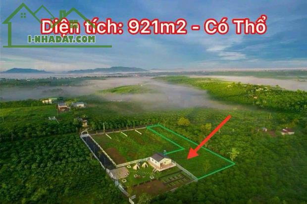 Đất Lộc An - Diện tích 922m2. Cách Quốc lộ 20 chỉ 3km. Giá chỉ 1,5 tỷ (chỉ 1,6tr/m2) - 4