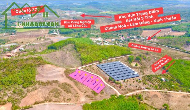 Bán đất vườn Khánh Phú quy hoạch thổ cư sát bên Hương Lộ 62 - 1