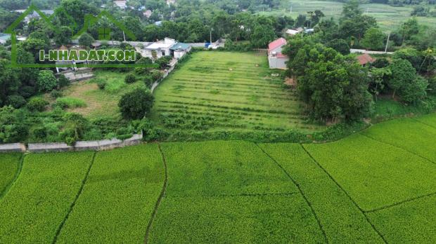 Bán đất nghỉ dưỡng view cánh đồng xanh mướt 2000m 100m thổ cư Liên Sơn Lương Sơn Hòa Bình - 5