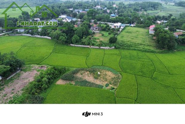 Bán đất nghỉ dưỡng view cánh đồng xanh mướt 2000m 100m thổ cư Liên Sơn Lương Sơn Hòa Bình - 2