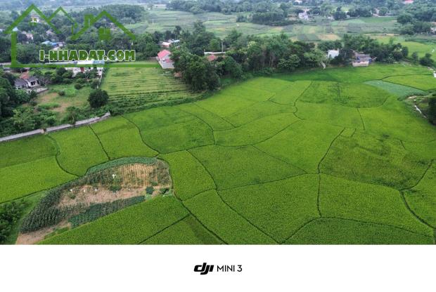 Bán đất nghỉ dưỡng view cánh đồng xanh mướt 2000m 100m thổ cư Liên Sơn Lương Sơn Hòa Bình - 1