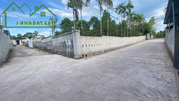 Bán đất 223,2m2 Kiệt ôtô Thanh Hải, cạnh Tịnh Trúc Gia, phường Thuỷ Xuân, TP Huế - 3