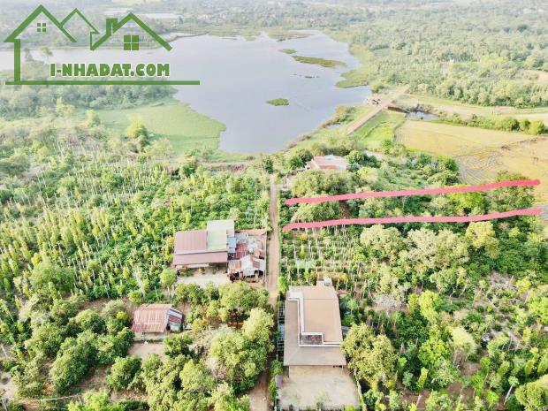 Bán Đất view Hồ và cánh đồng 859m2 có 160 Thổ Cư Tặng 800m2 Đất Ruộng.