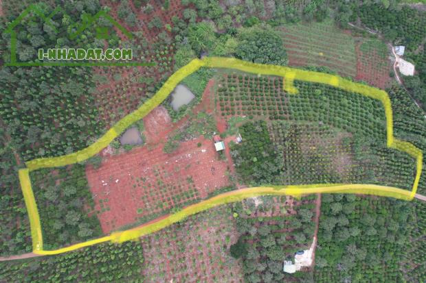 Chính chủ cần bán nhanh lô đất Nông nghiệp tại xã Đắk Drô, huyện Krông Nô, tỉnh Đắk Nông. - 2
