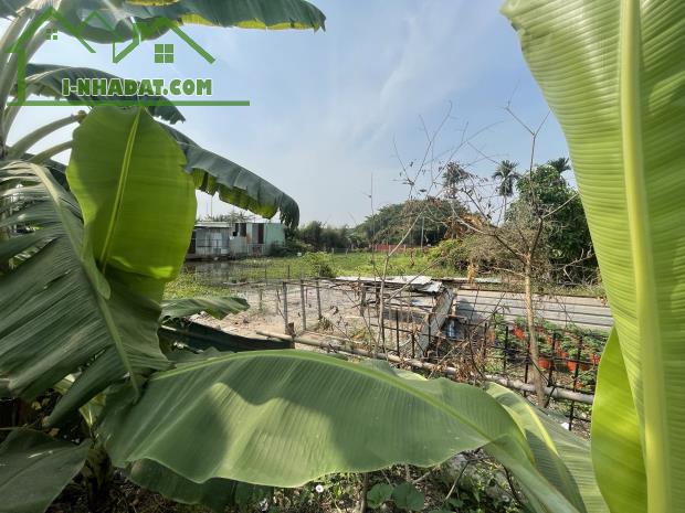 Bán đất Giáo Dục tại phường tăng Nhơn Phú B, thành phố Thủ Đức diện tích 3000 mét vuông - 2