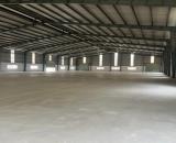 Cho thuê nhà xưởng 2400m2 xã Xuân Thới Sơn, Huyện Hóc Môn, Hồ Chí Minh