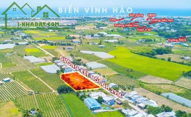 chỉ 800tr sở hữu ngay Đất đấu giá Biển Bình Thuận khu vực nhiều homestay, khu du lịch nổi - 1