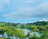 Lên giỏ một lô đất biệt thự siêu đẹp ngay hồ đồi chè Tâm Châu - thành phố Bảo Lộc.