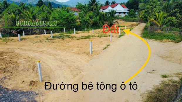 Bán đất Khánh Đông giá rẻ đường thông - sẵn thổ cư xây nhà hoặc đầu tư - 3