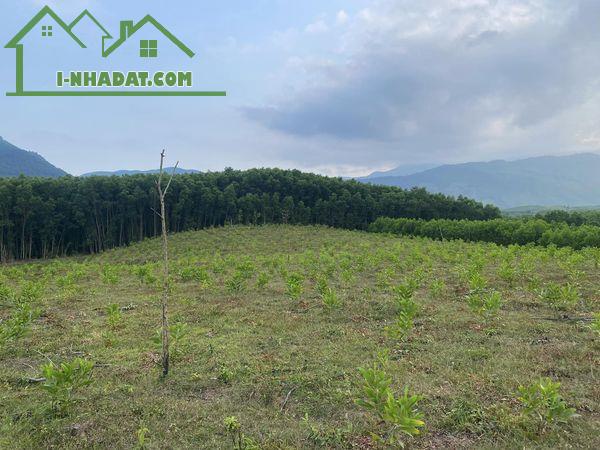 📣📣Cần bán 20000m (2hec)  đất trồng cây lâu năm tại xã Hoà Phú, Hoà vang - 3