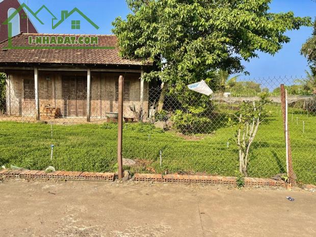 🌳🏡 "Khám Phá Khu Vườn Xanh Mát" 🏡🌳 Giá Chỉ 700TR/1000m2 Tại Đồng Nai! - 3