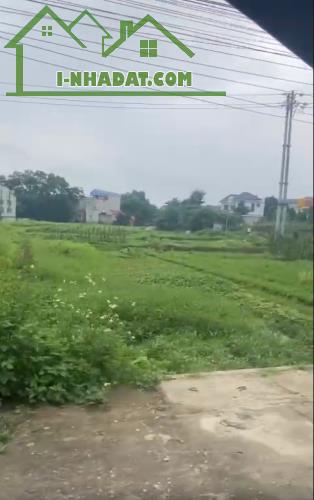 Chính chủ cần bán mảnh đất tại thị trấn Thắng, Hiệp Hoà, Bắc Giang