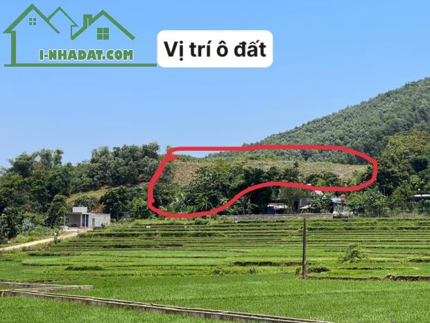 Bán đất Kim Bôi-Hòa Bình 5000m2,tiềm năng,view đẹp giá 2,2 tỷ - 1