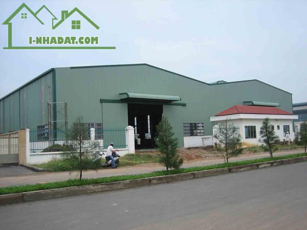 Bán kho xưởng 5000m2 tại Thuận Giao, Thuận An, Bình Dương