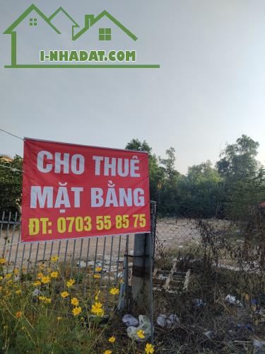 Cho Thuê Mặt Bằng Đất Trống 1000m2 Trung Tâm Mặt Tiền Đường Trường Chinh - 3