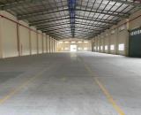 Cho thuê xưởng 5000m2 tại Củ Chi, TPHCM