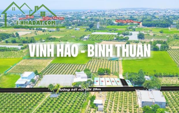 Đầu tư đất ven biển Bình thuận. Giá tốt